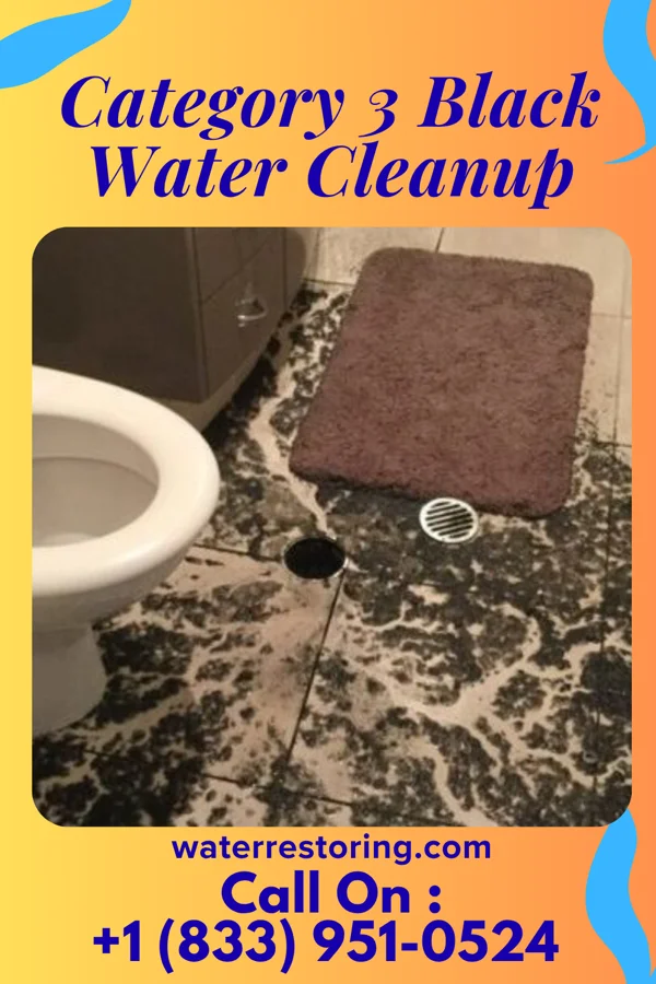 Category 3 Black Water Cleanup in Tom Bean, TX