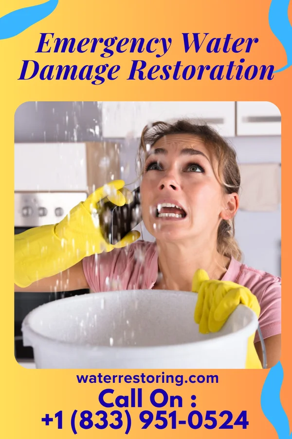 Emergency Water Damage Restoration in Tom Bean, TX