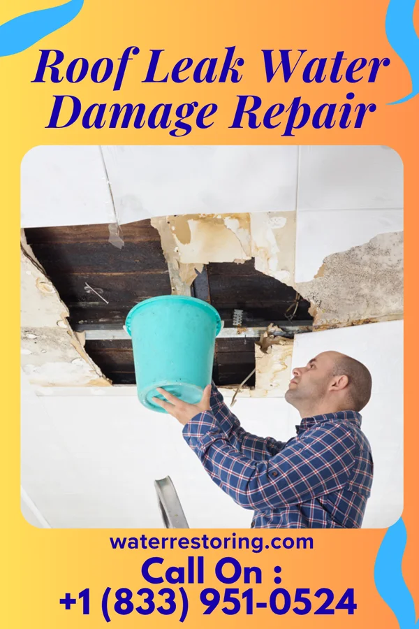 Roof Leak Water Damage Repair in Tom Bean, TX