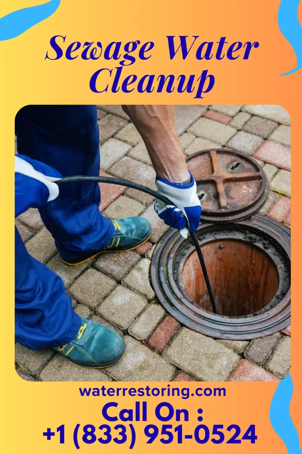 Sewage Water Cleanup in Tom Bean, TX